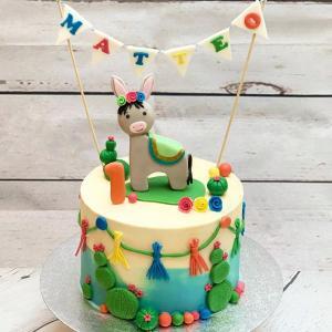 Mexican Themed Birthday Cake